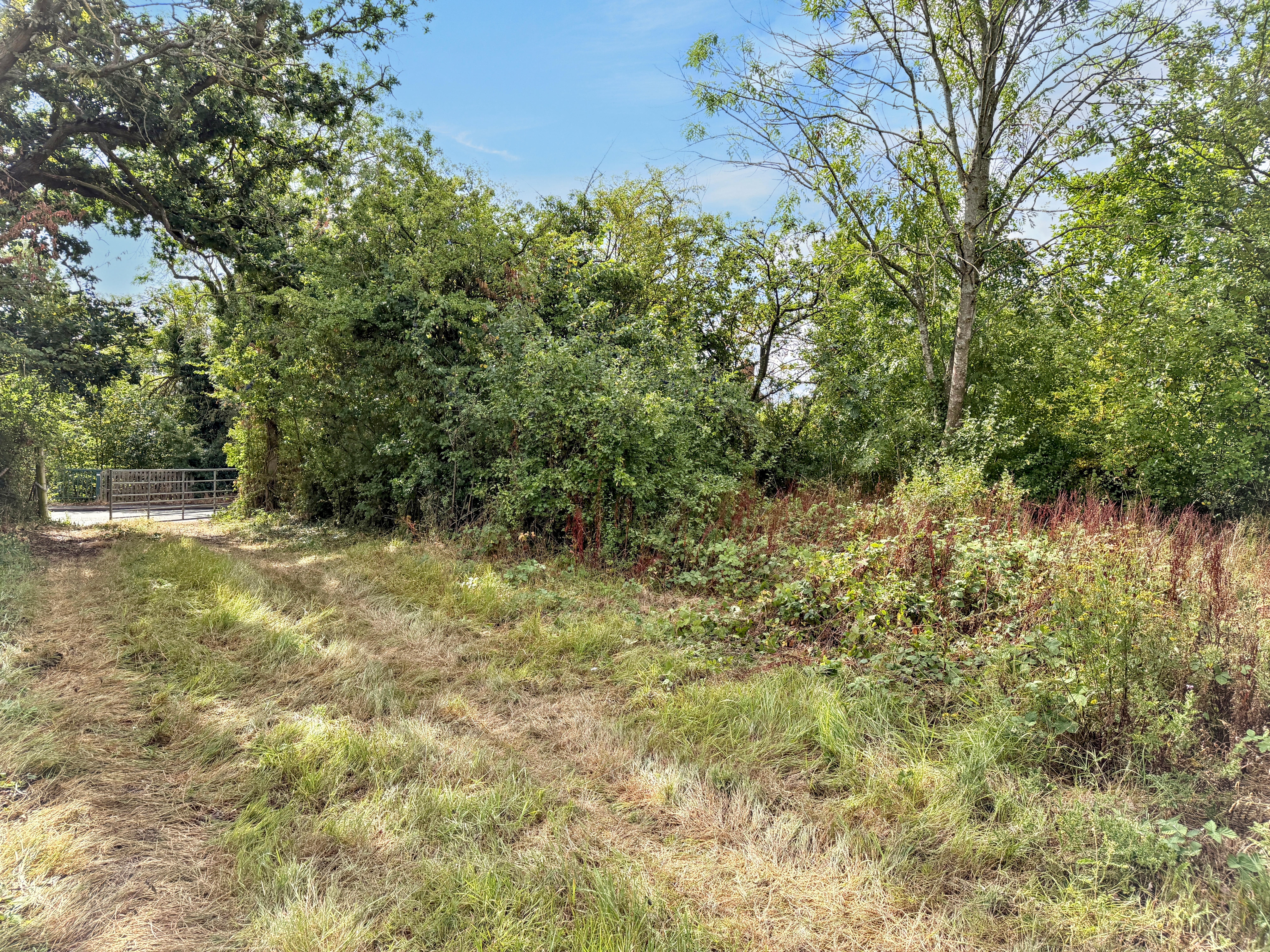 Property image #6