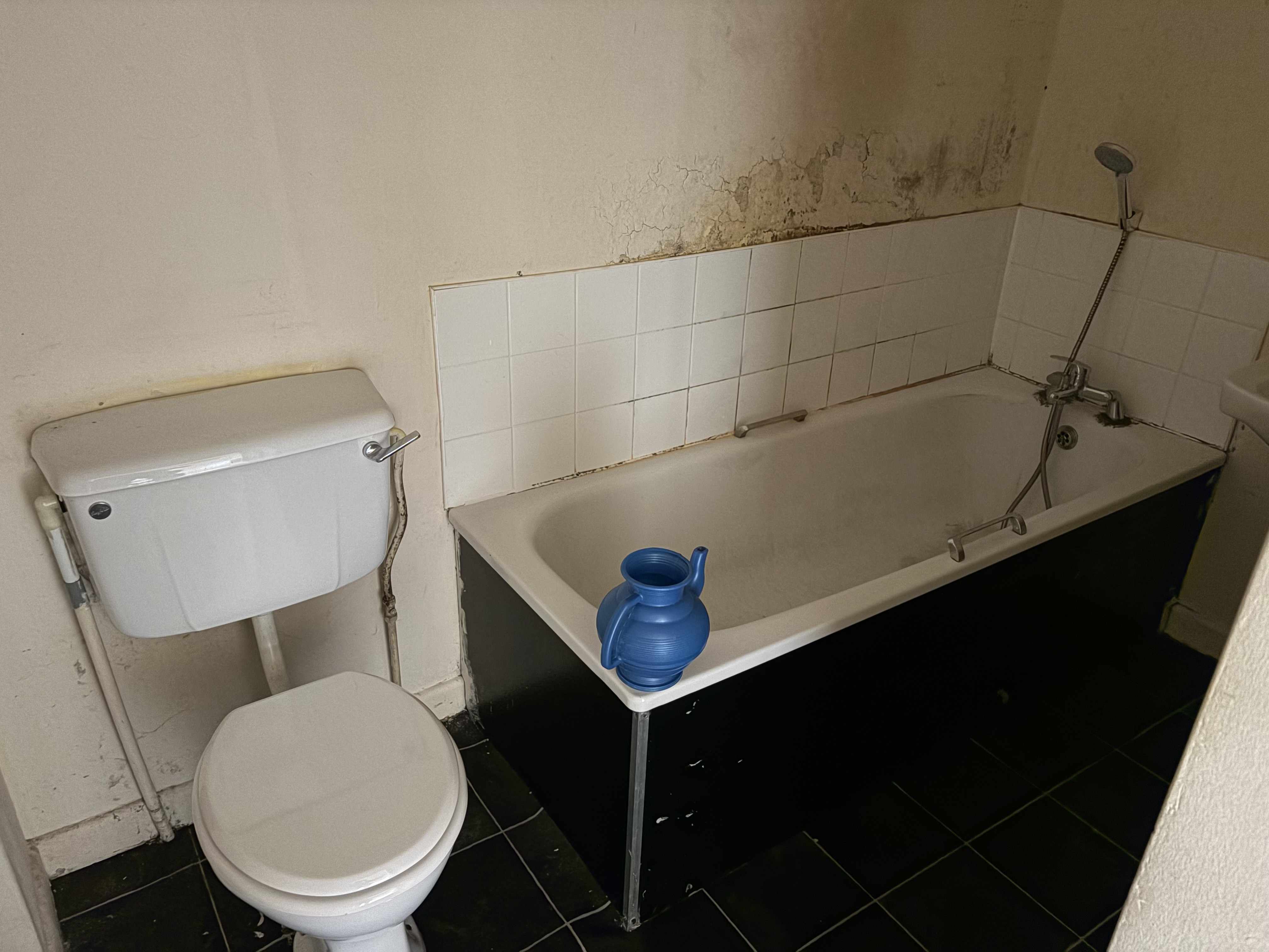 Property image #6