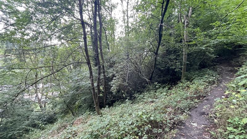 Property image #4