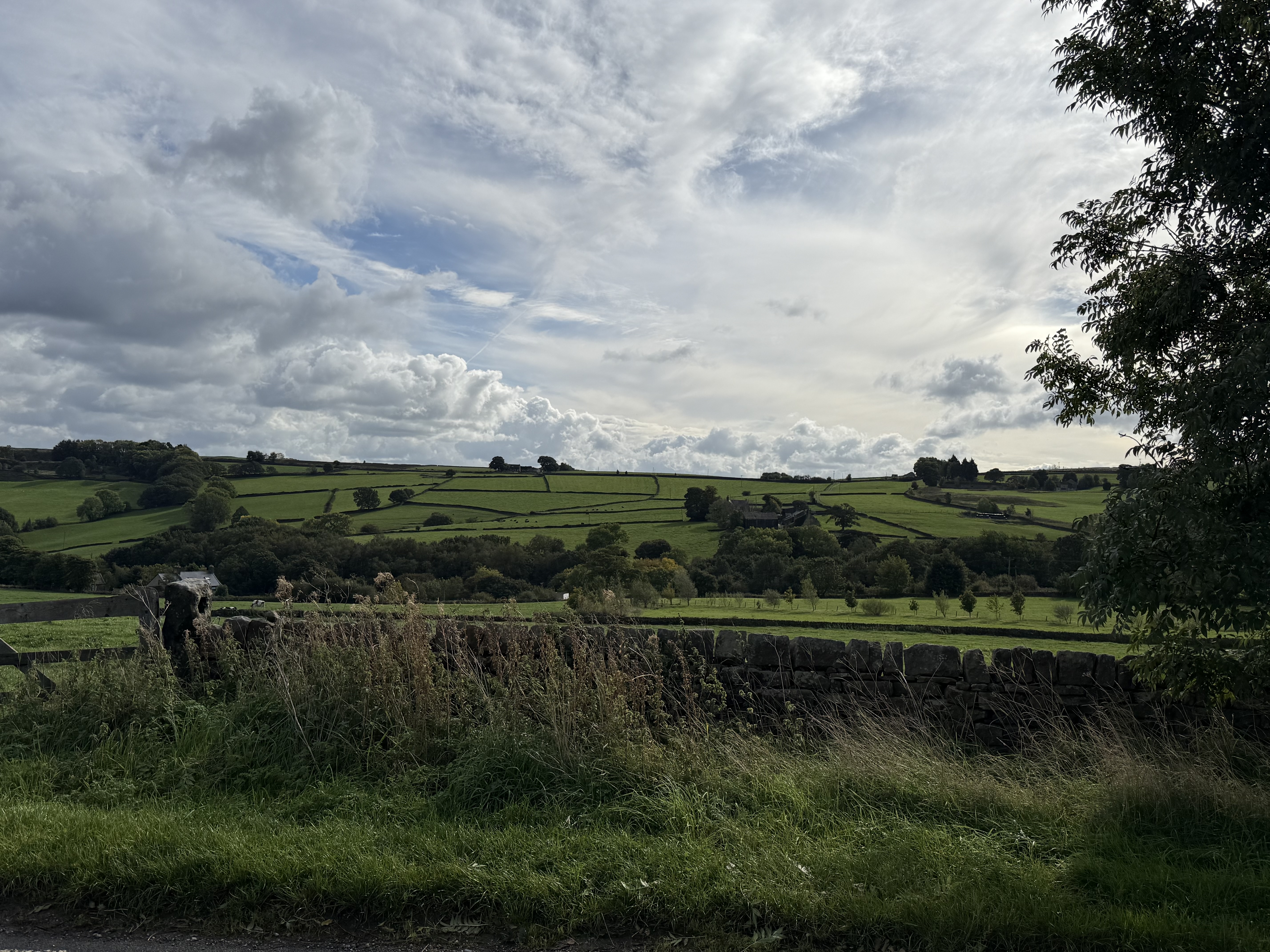 Property image #8