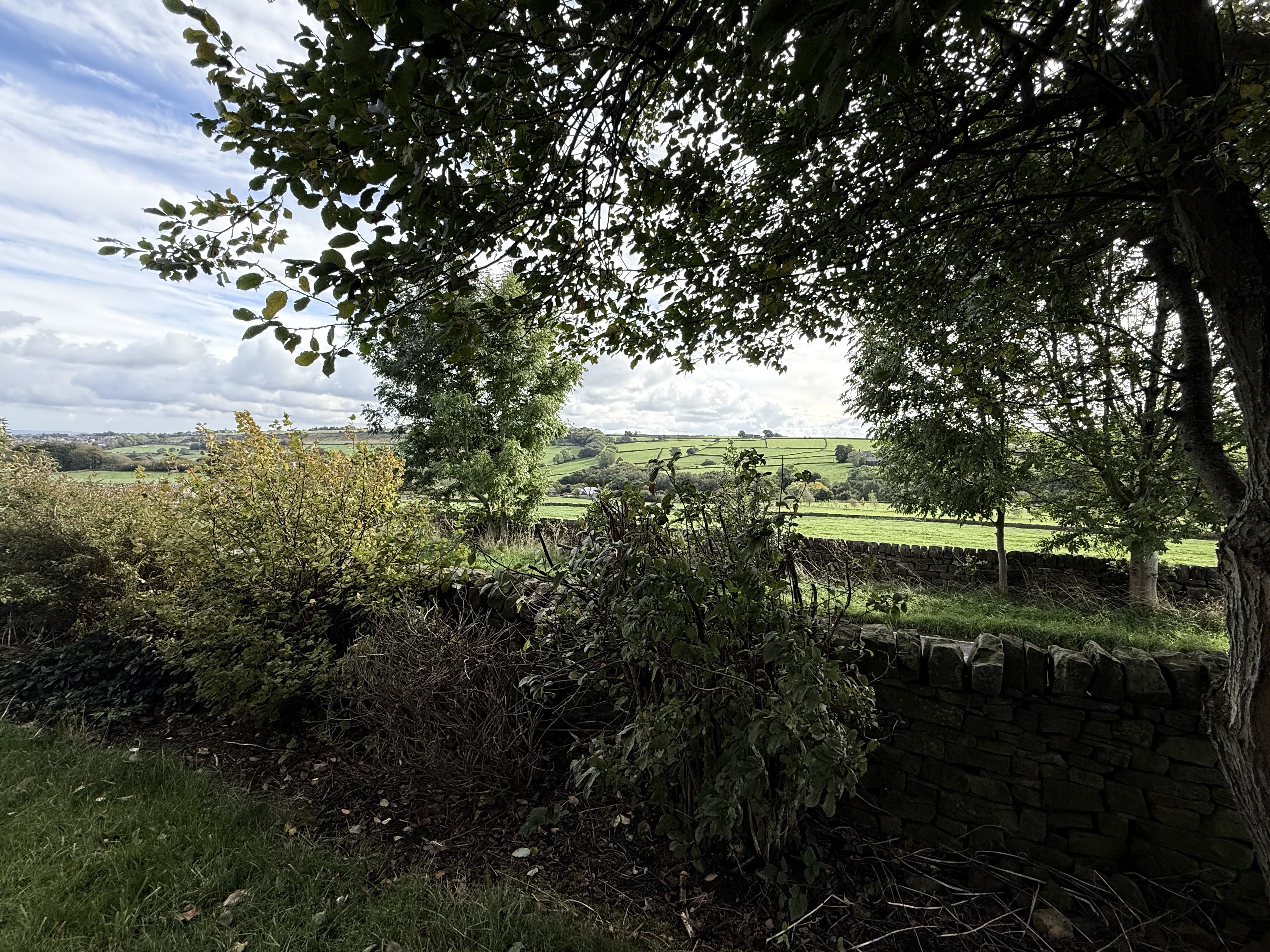 Property image #13
