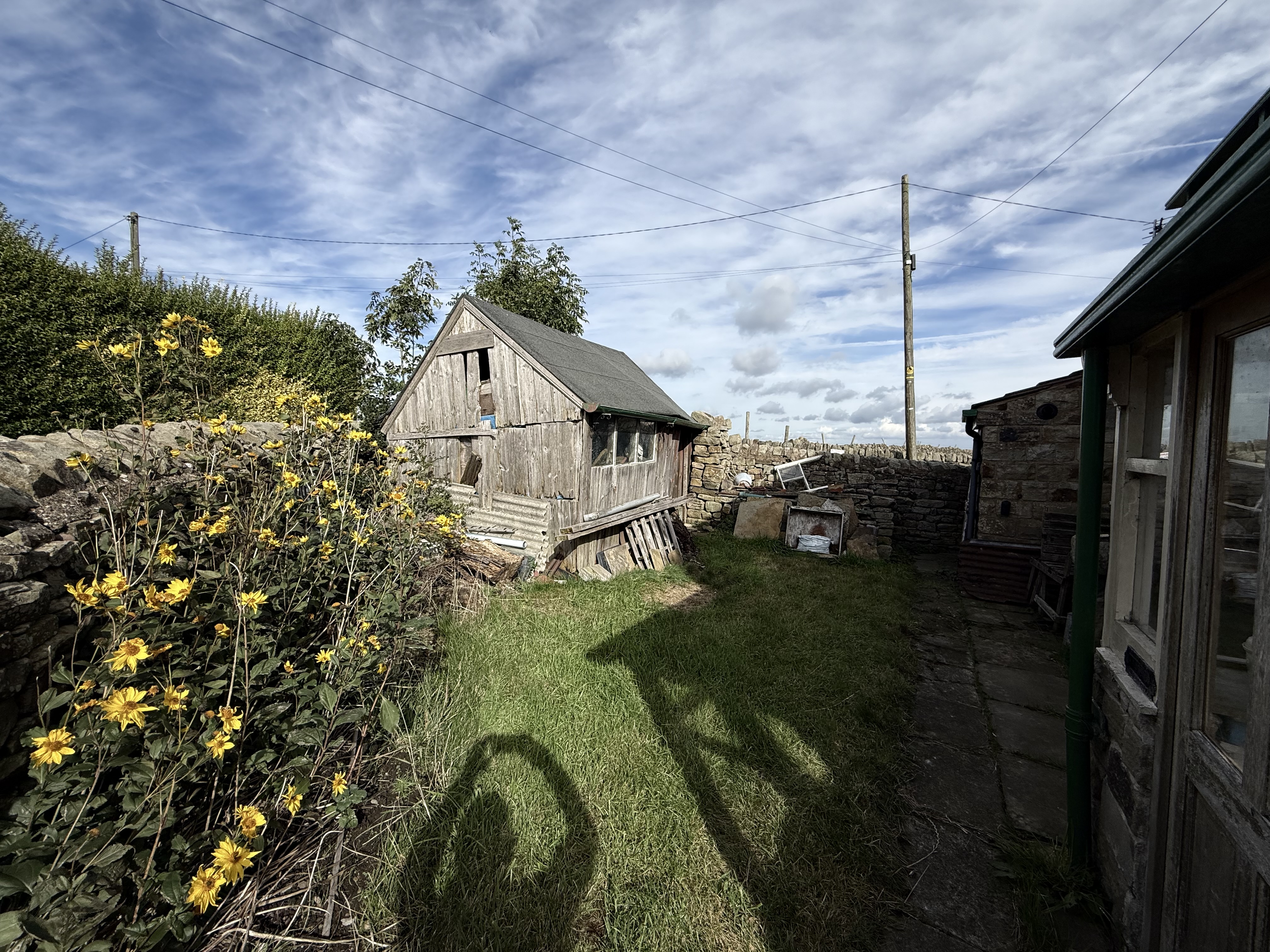 Property image #7