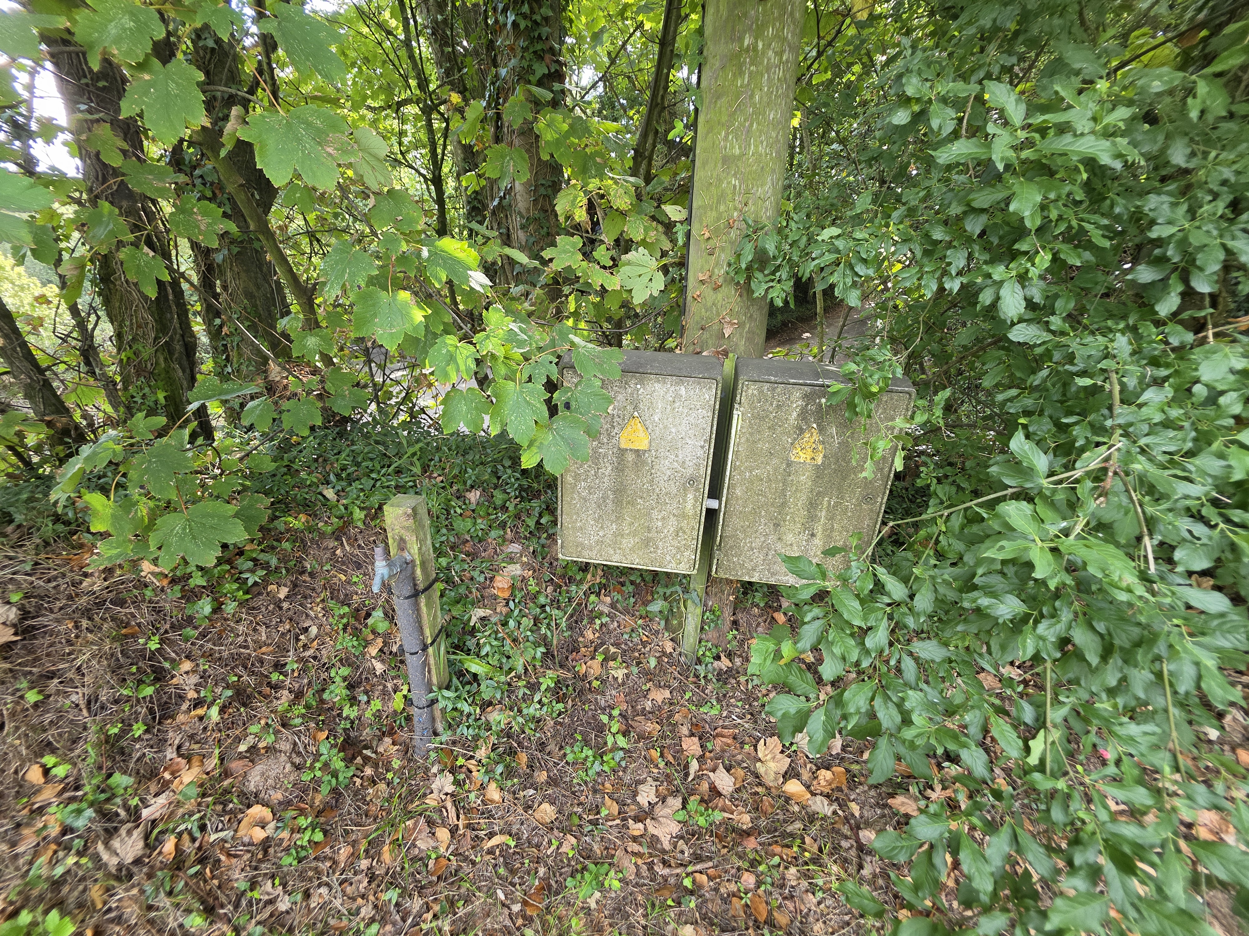Property image #4