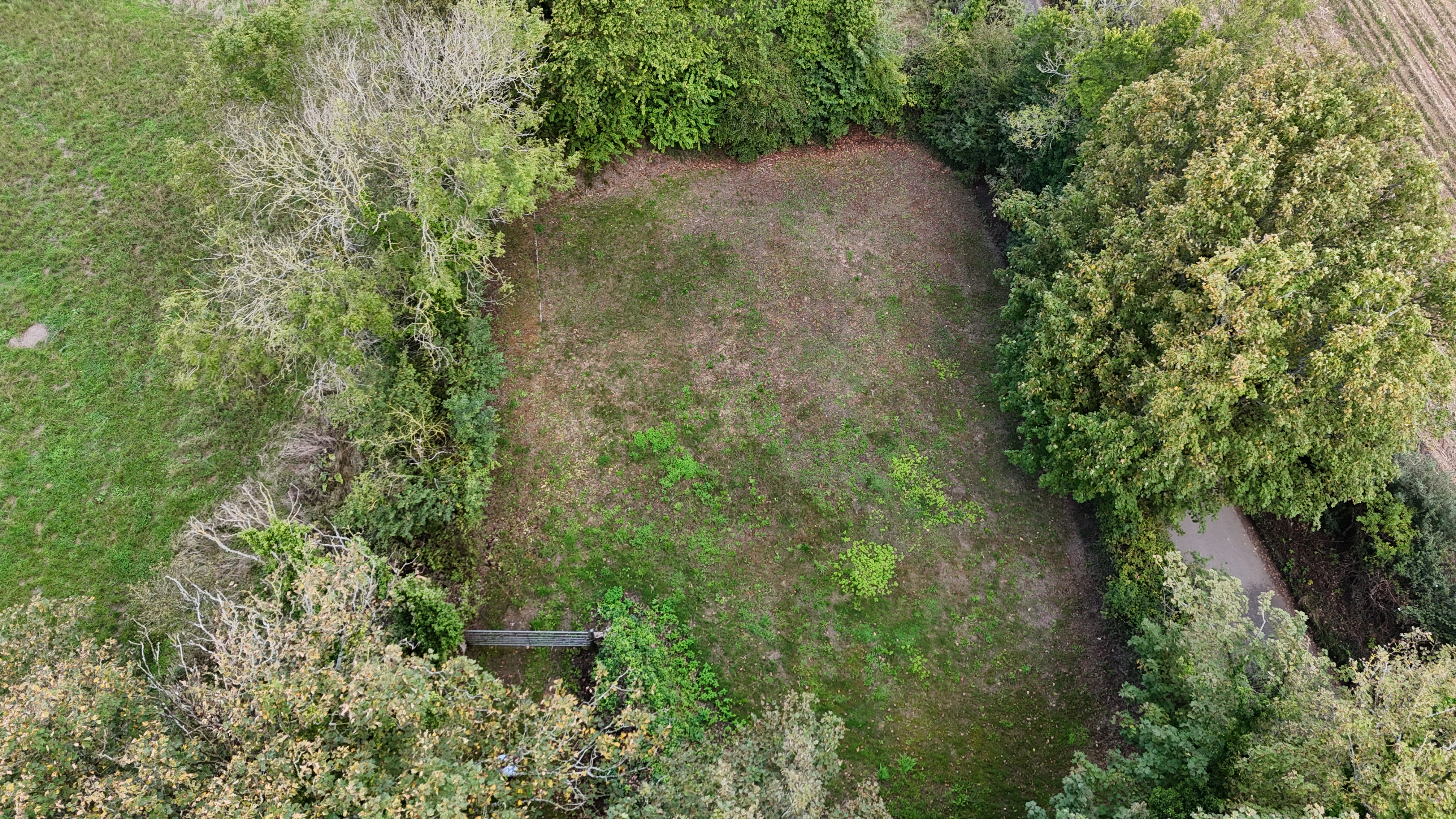 Property image #6