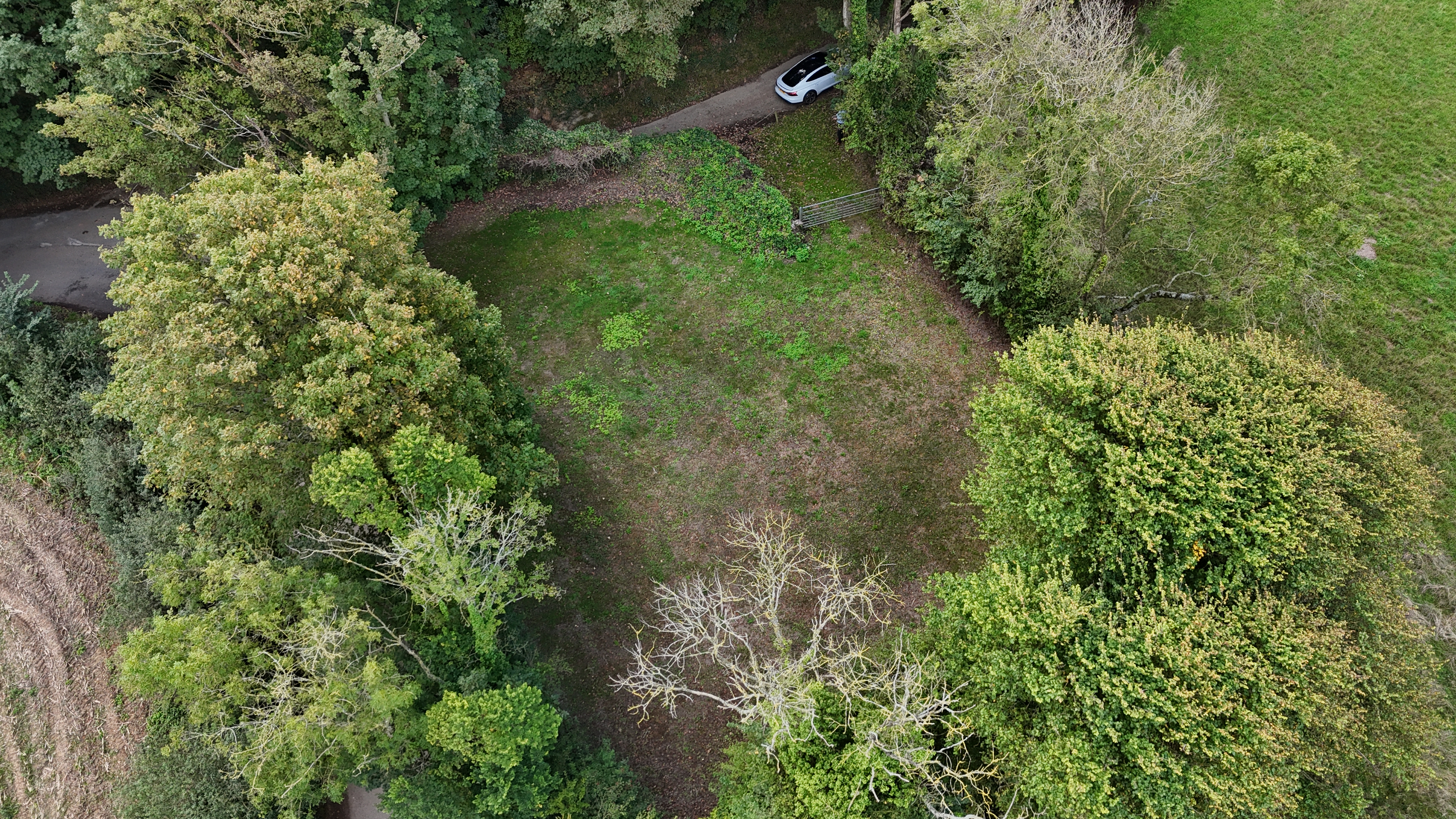 Property image #5