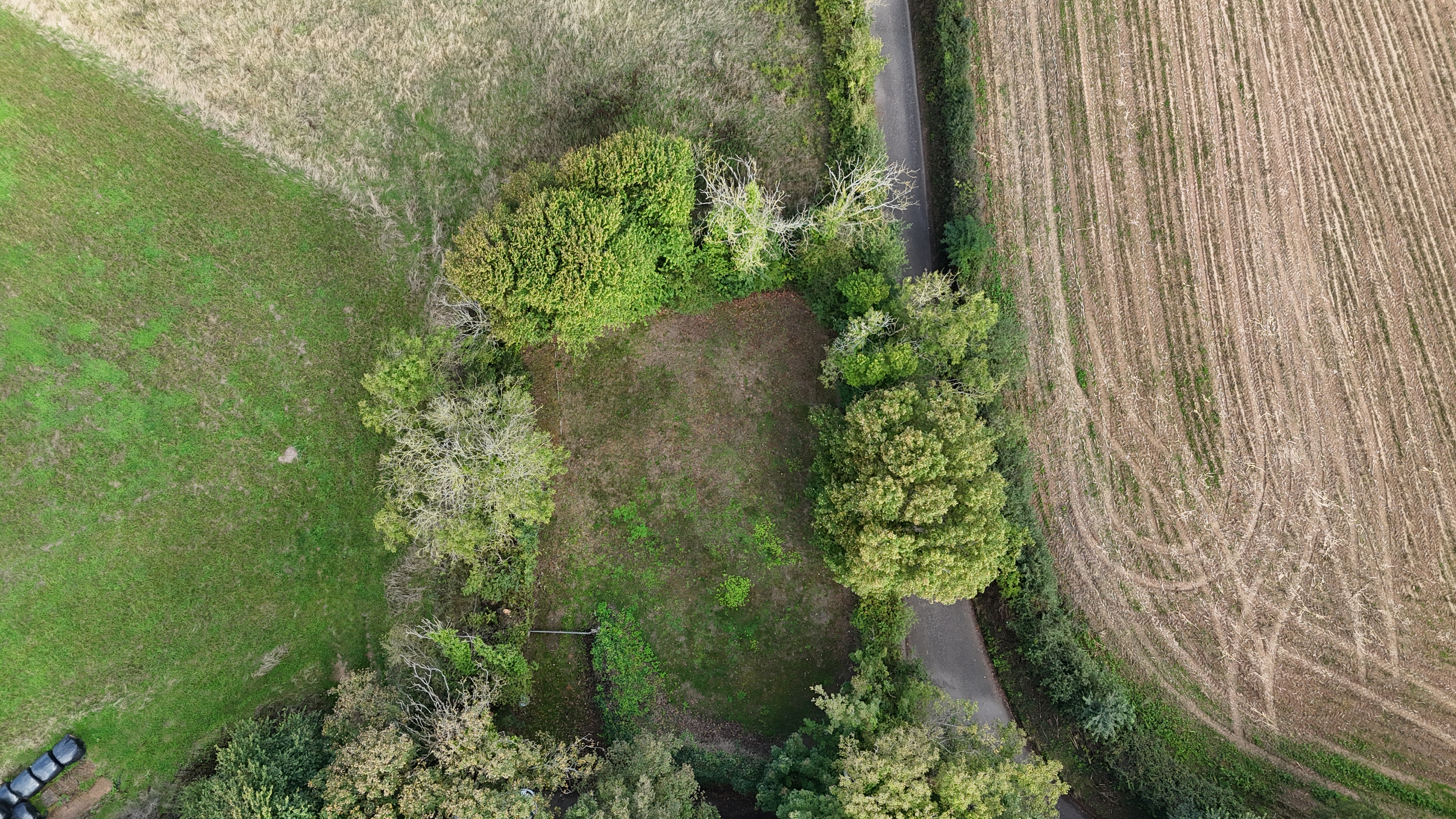 Property image #9