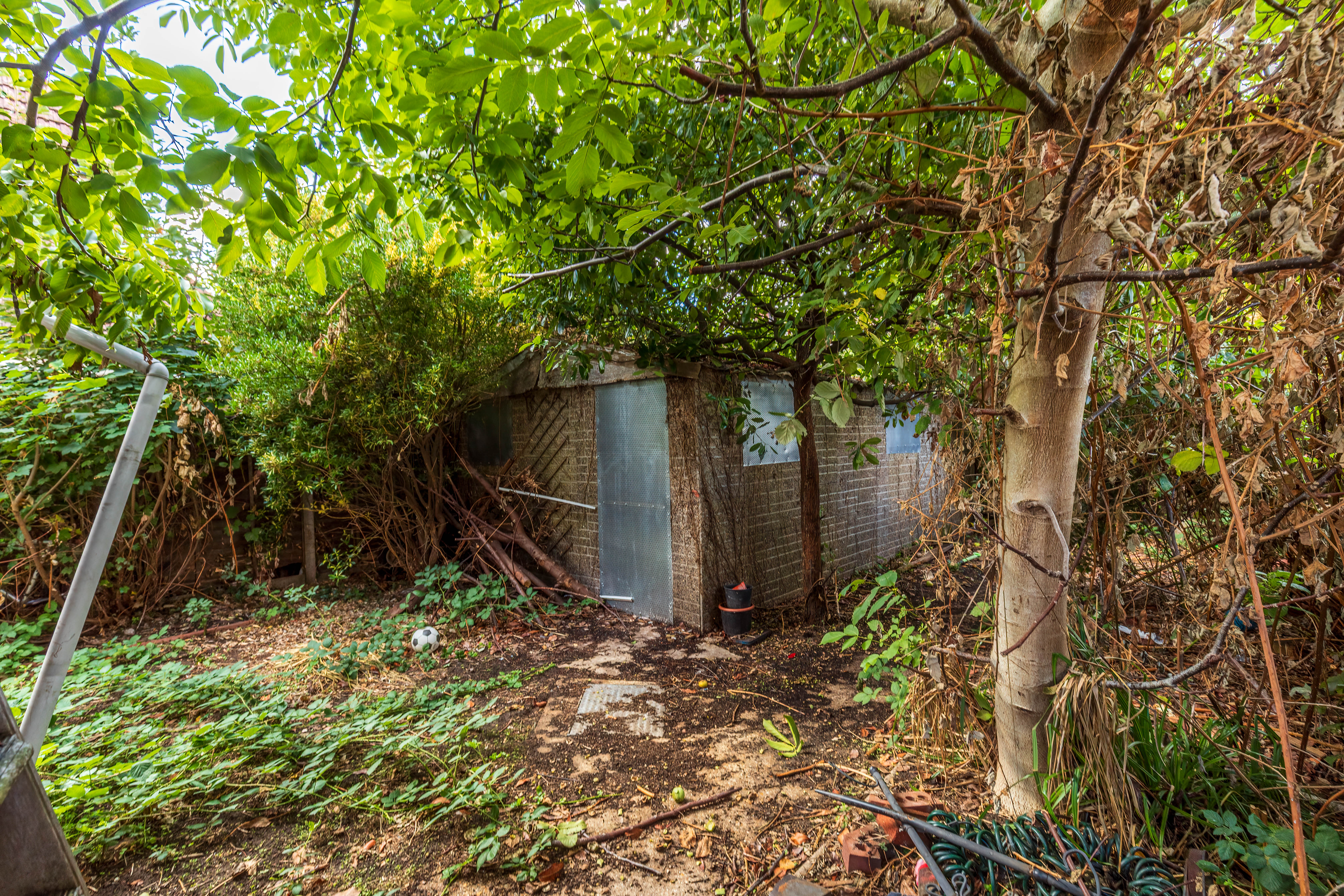 Property image #3