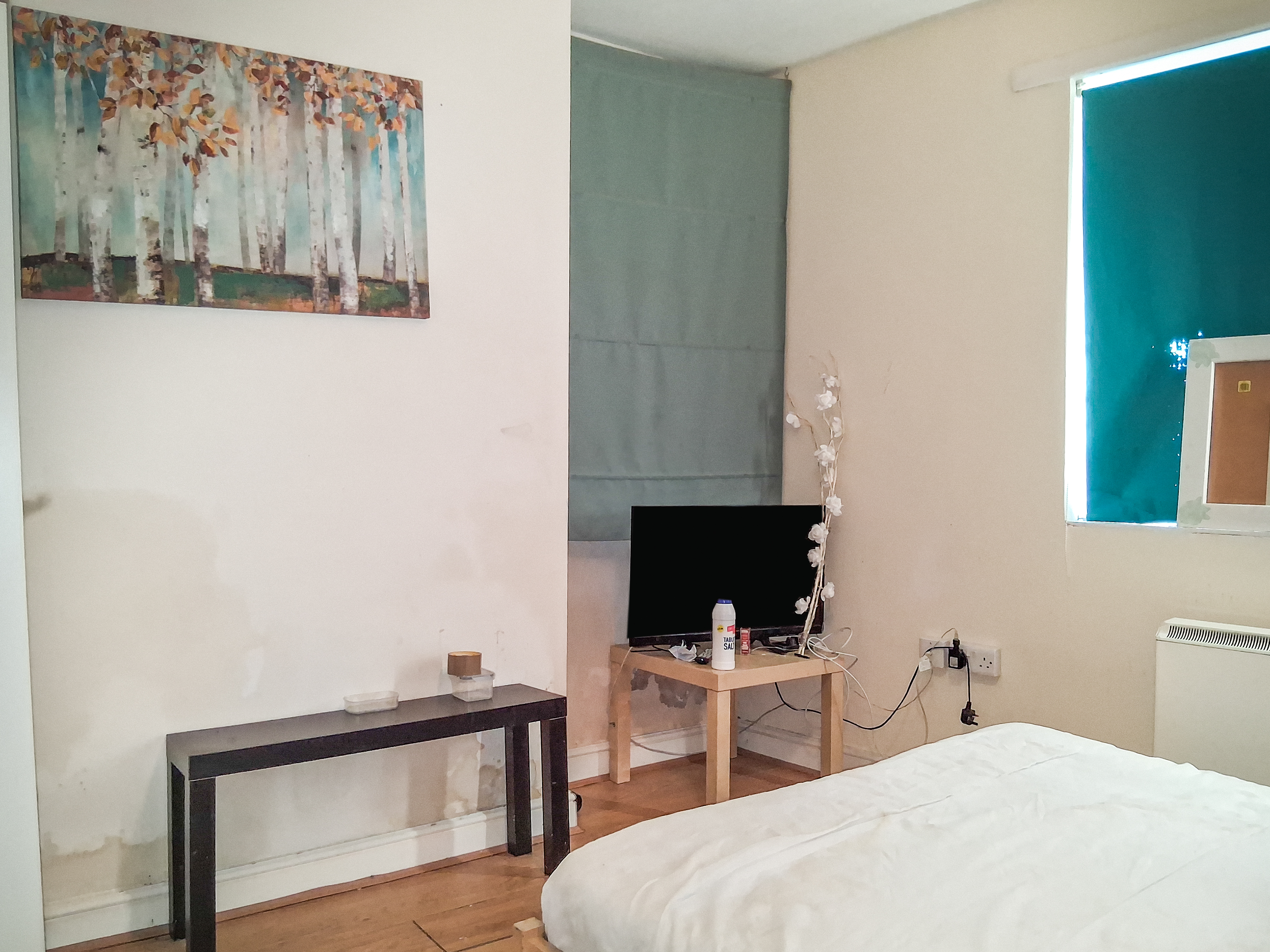Property image #8