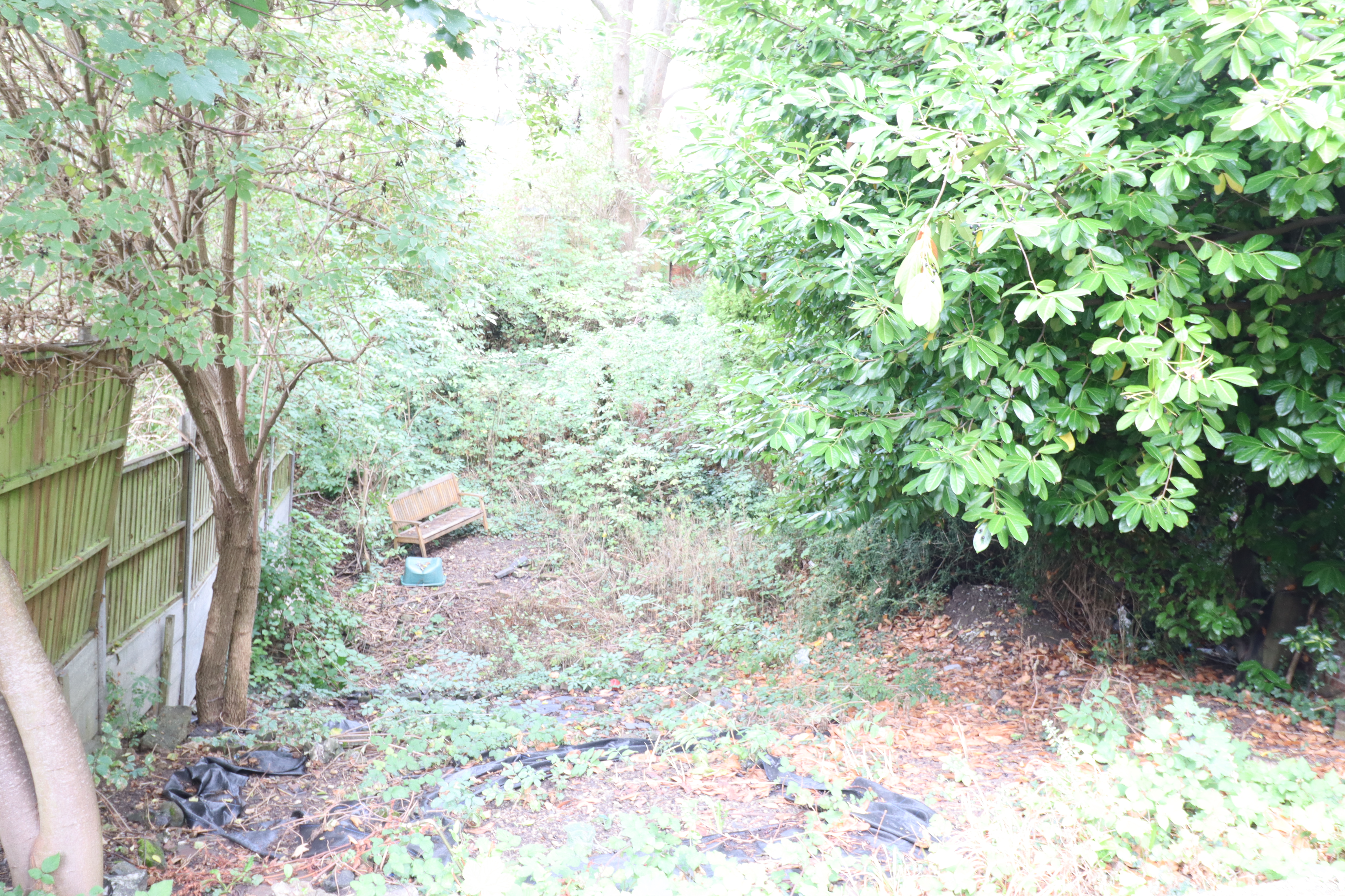 Property image #6