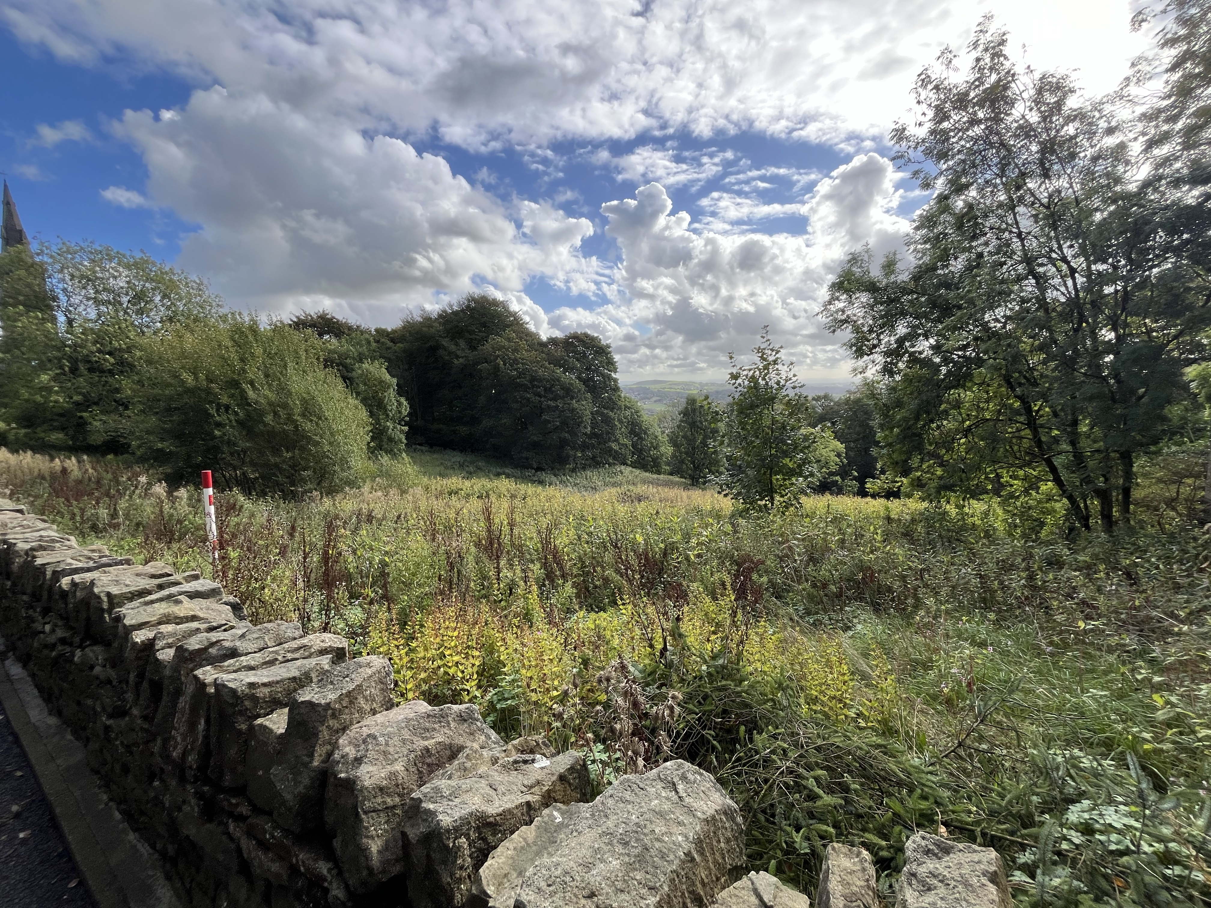 Property image #5