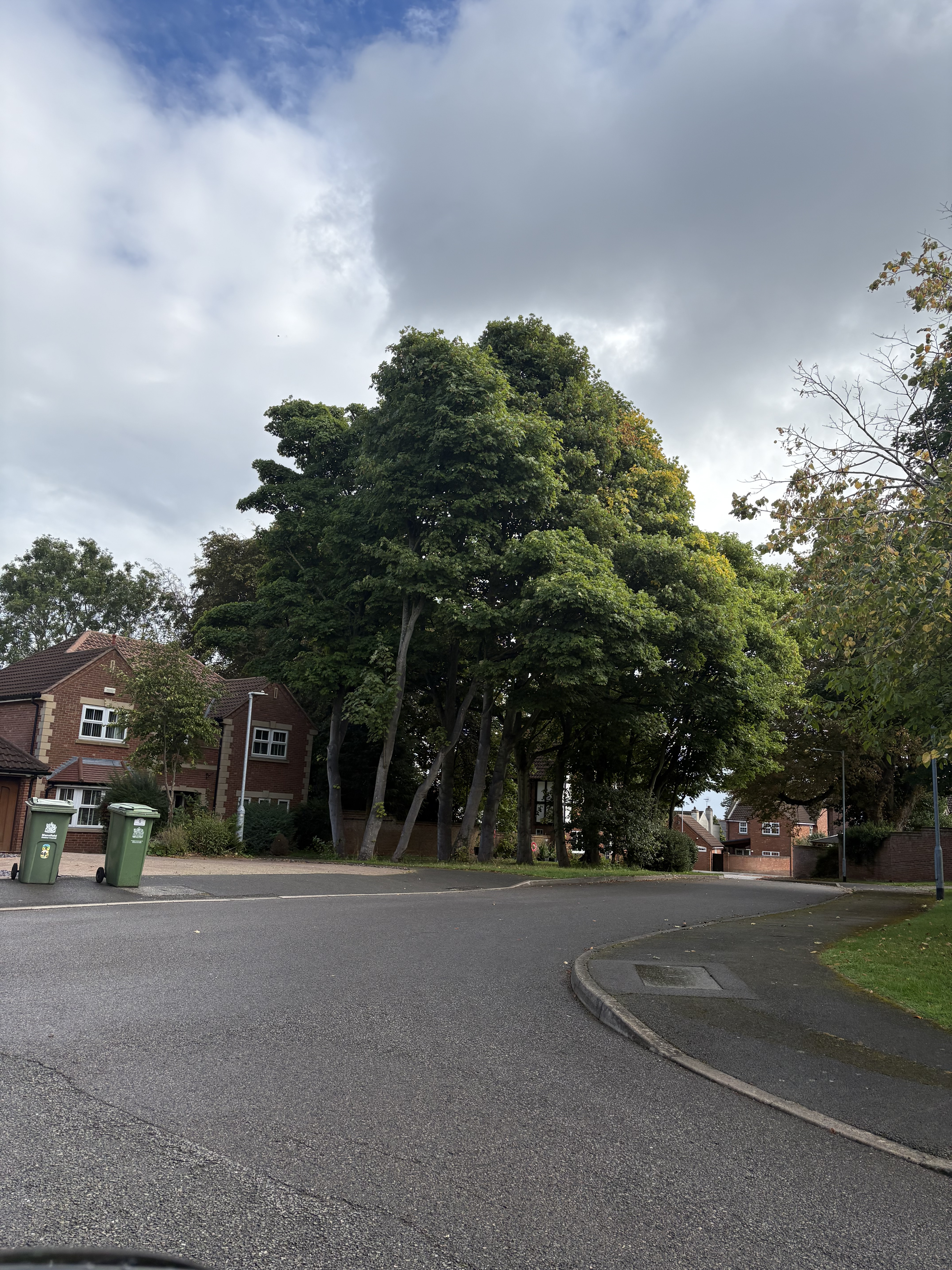 Property image #3