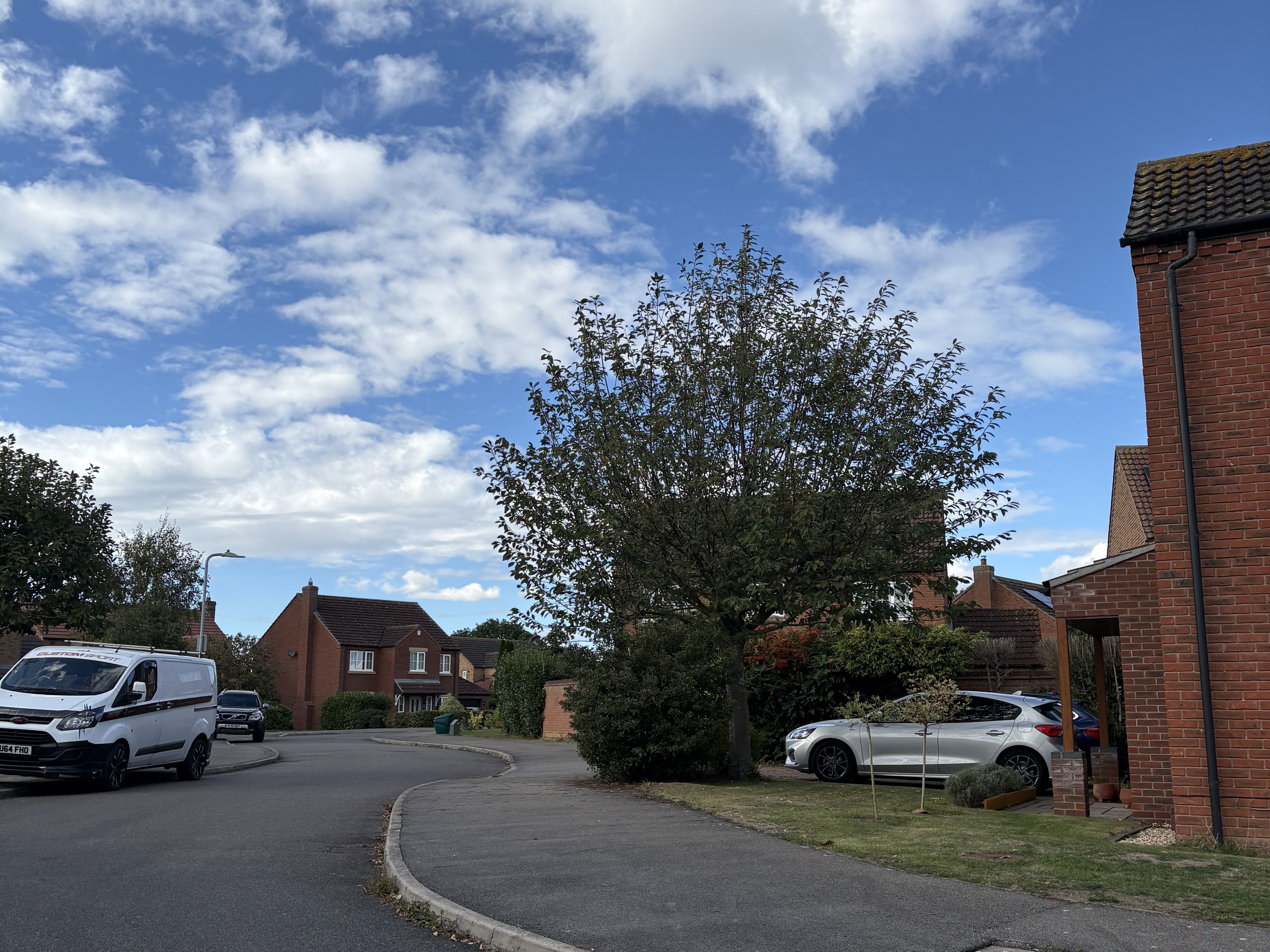 Property image #4