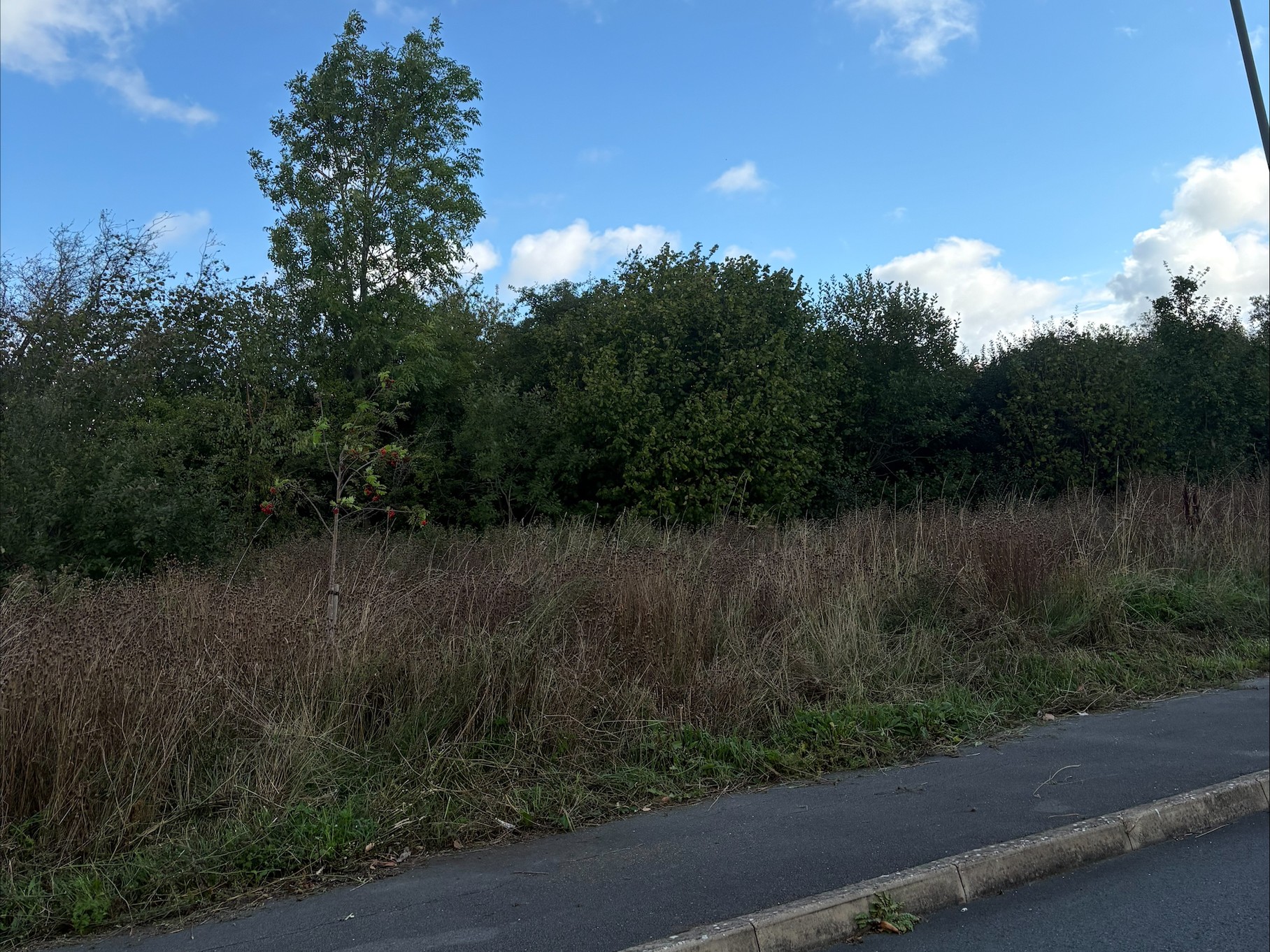 Property image #3