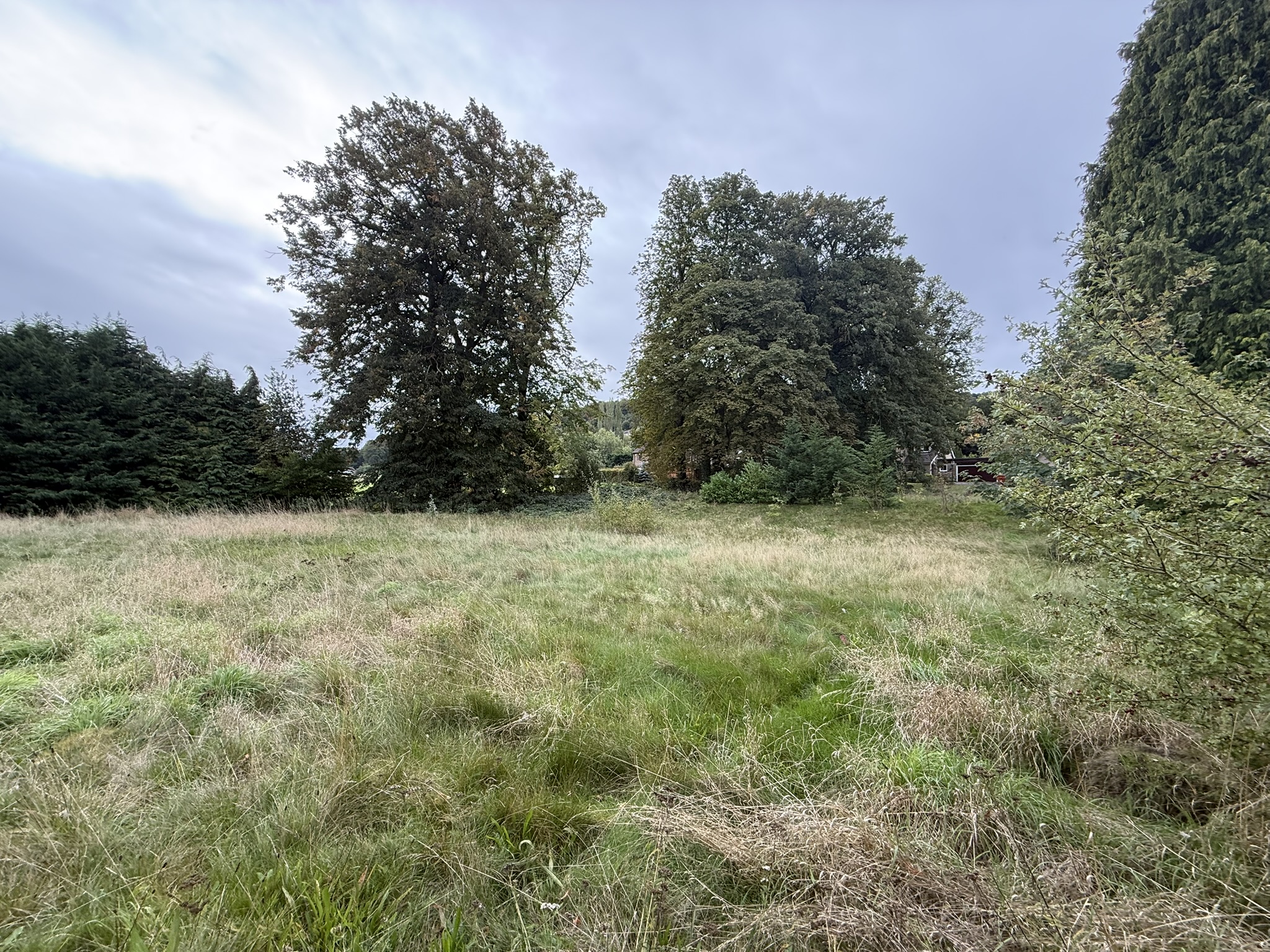 Property image #2
