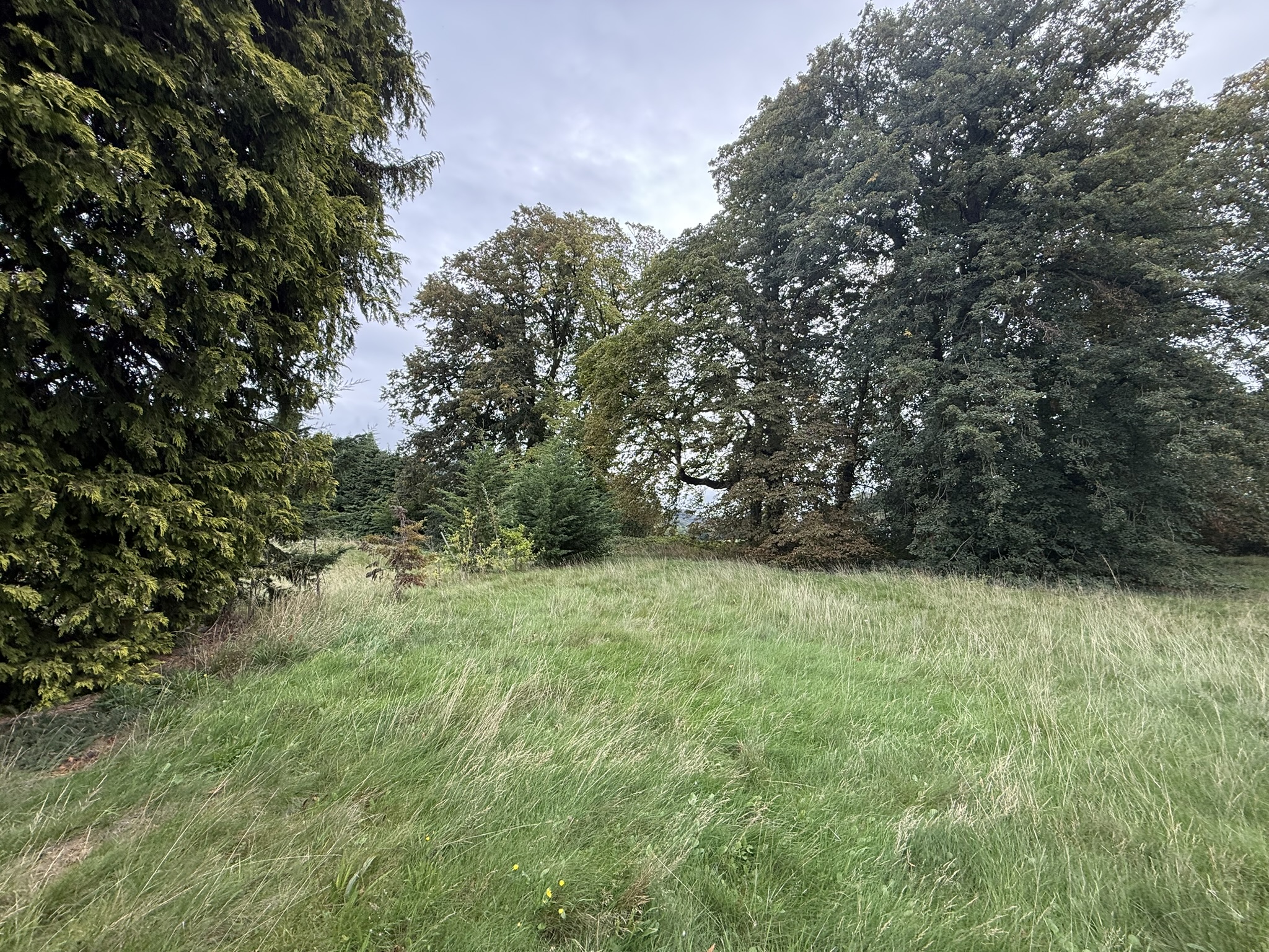 Property image #3