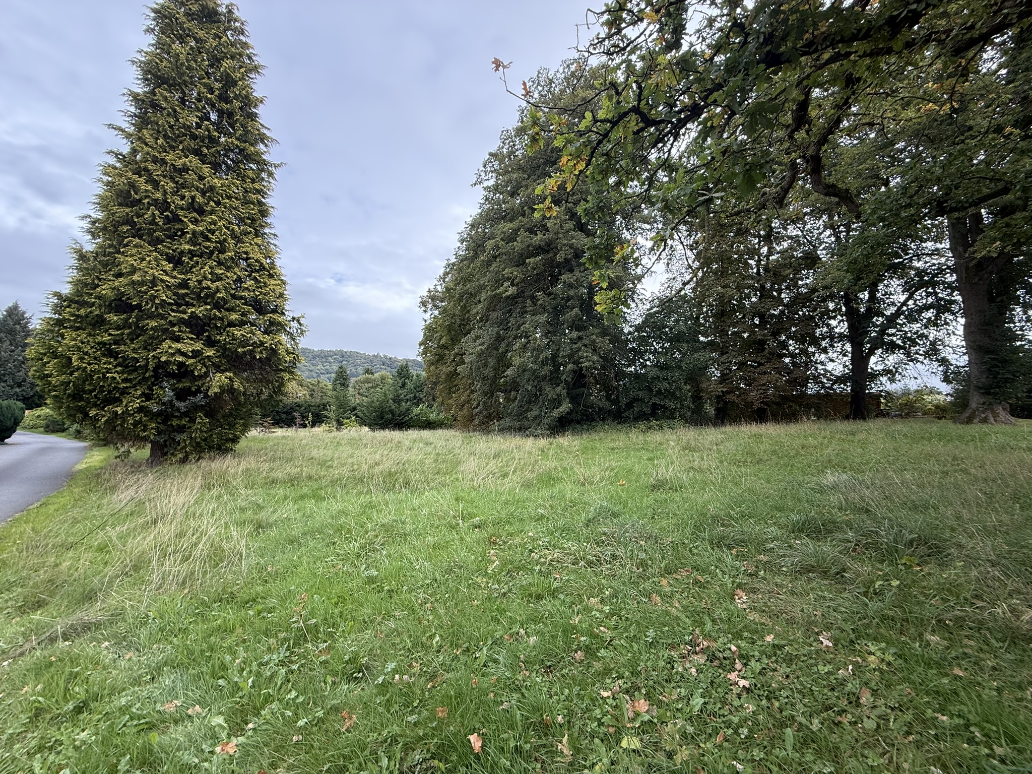 Property image #4