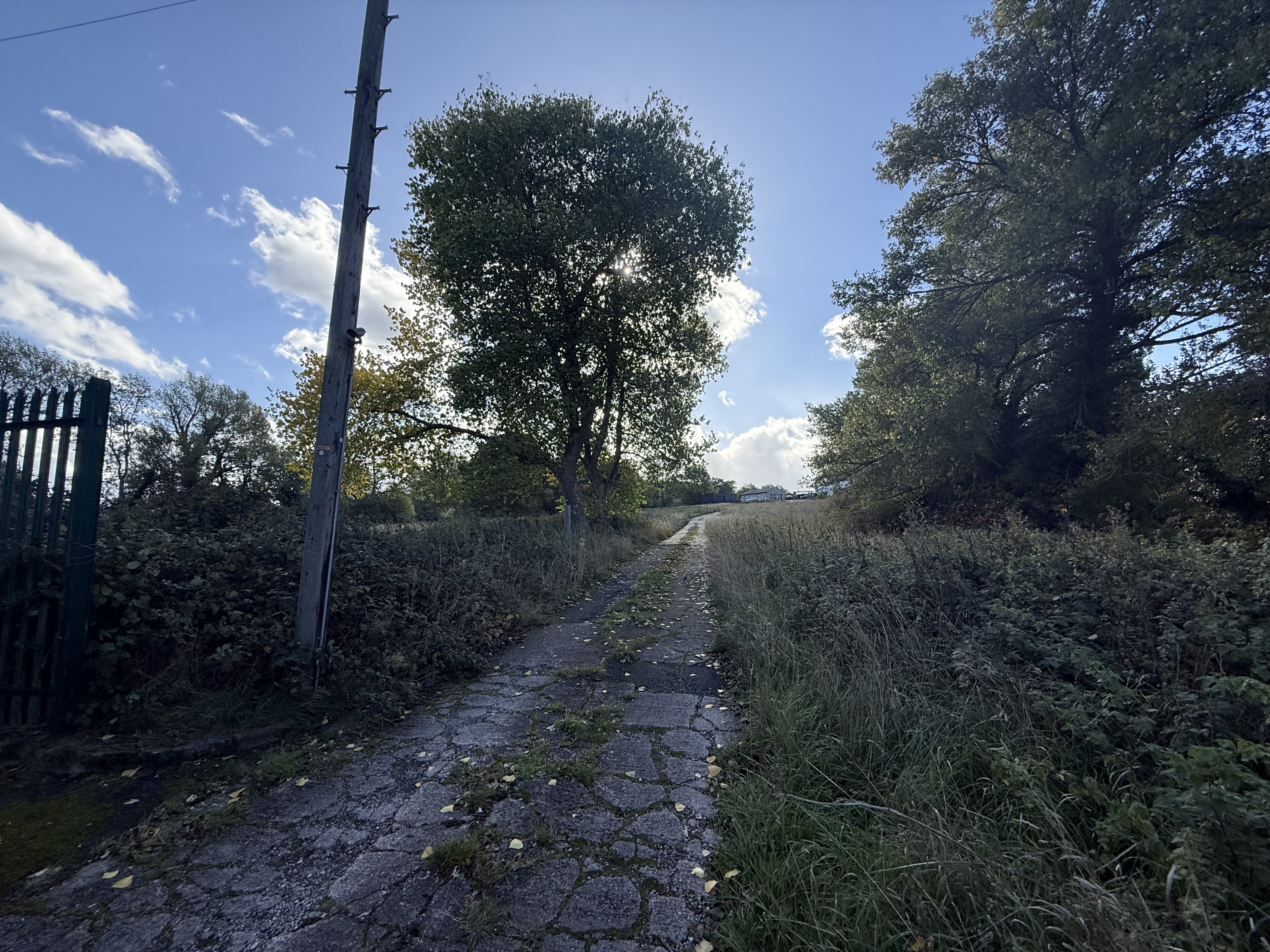 Property image #3