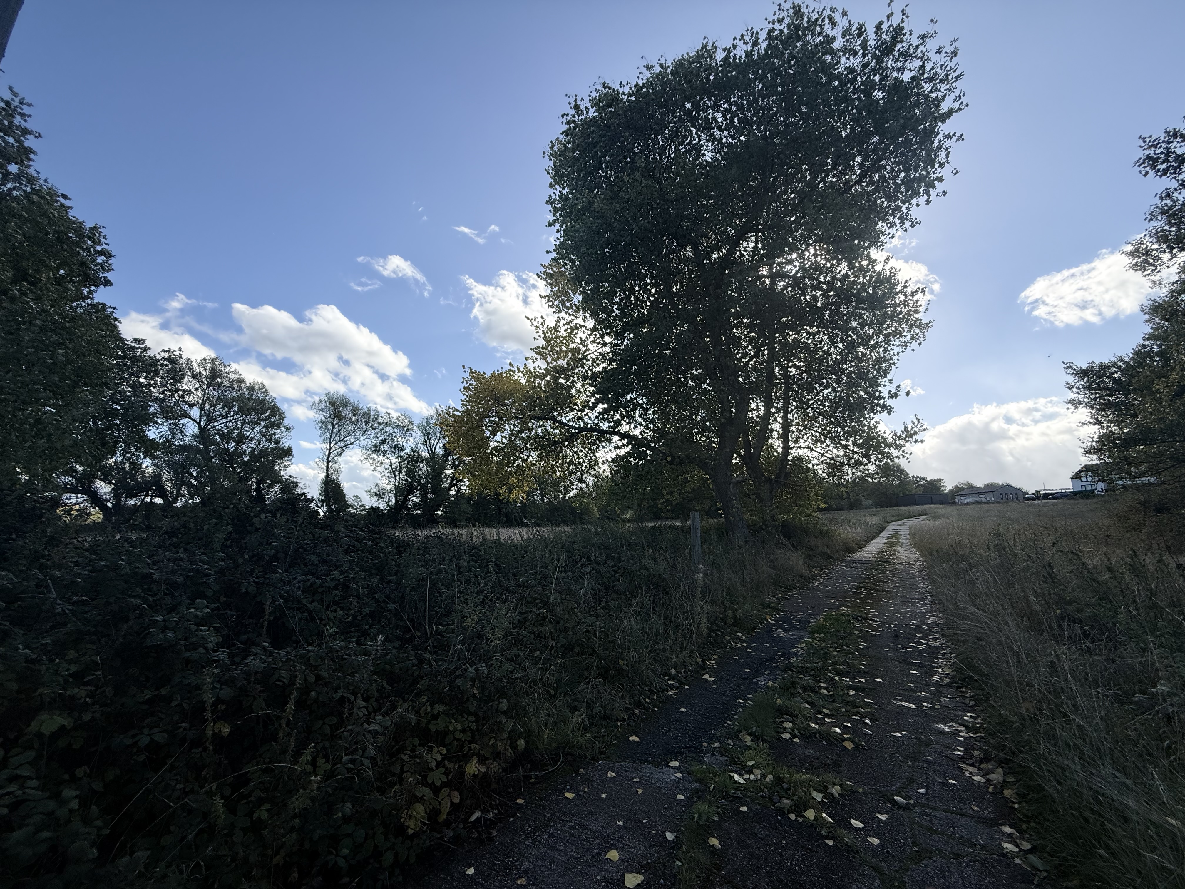 Property image #2