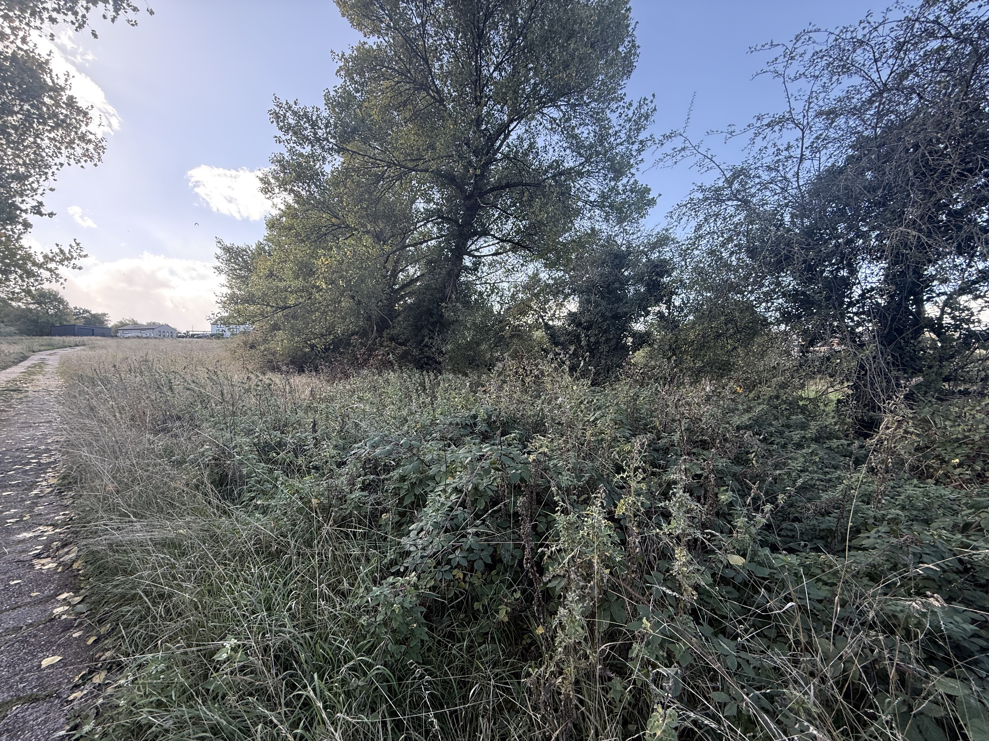 Property image #1