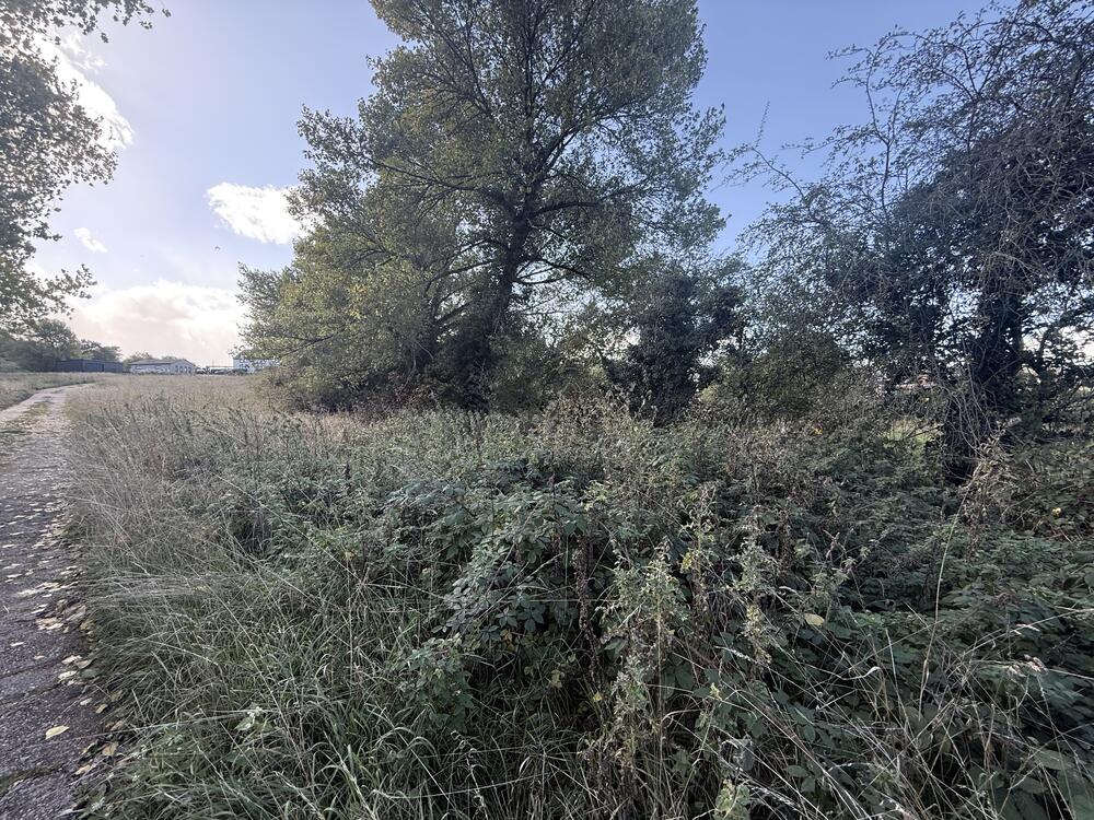 Photo of Land at Wentworth Road, Thorpe Hesley, Rotherham, South Yorkshire S61 2RH
