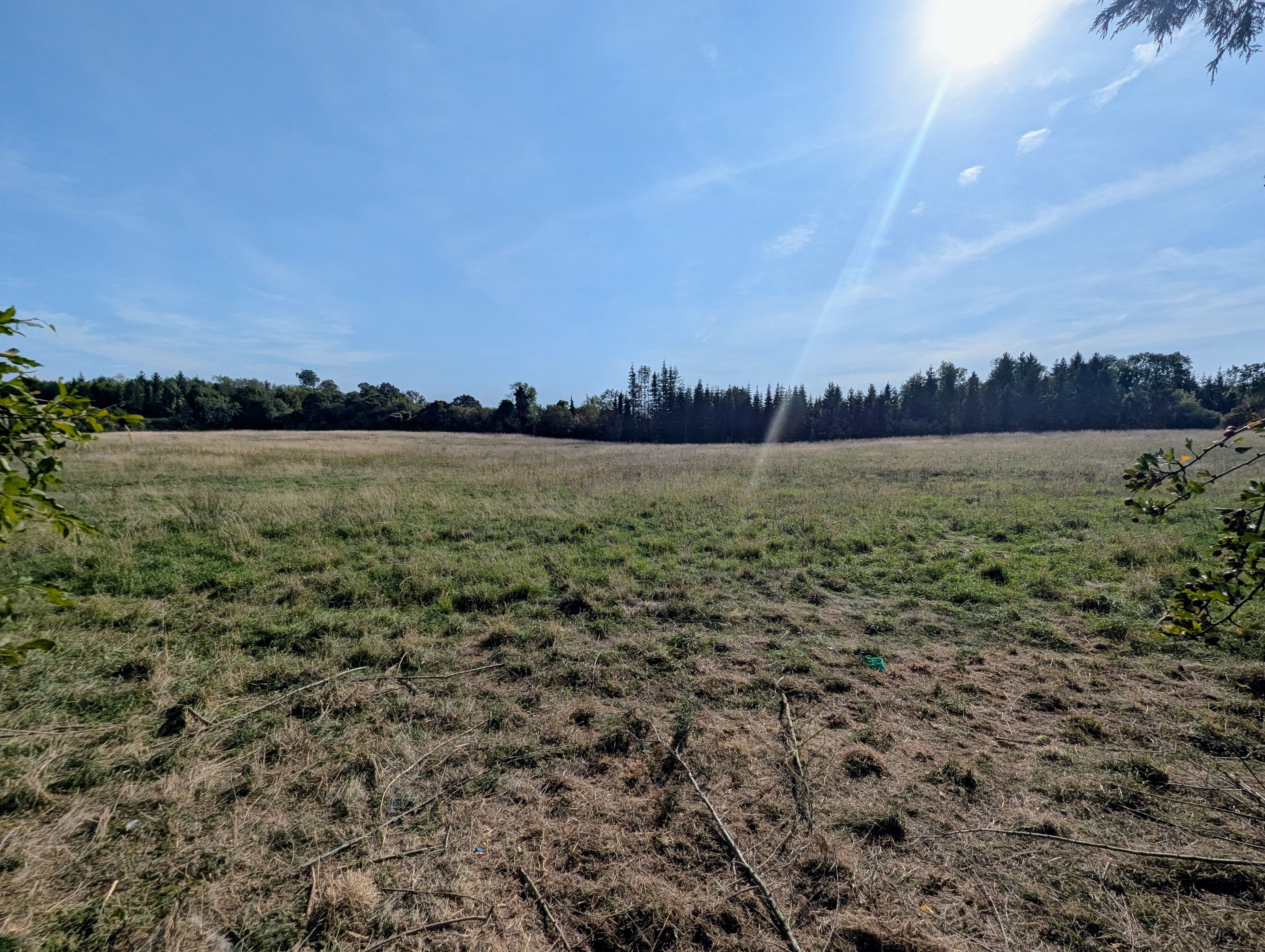 Property image #3