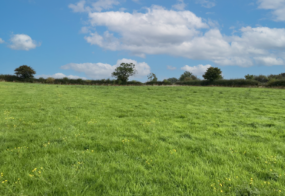 Photo of Land and Stables off Inns Lane, South Wingfield, Alfreton, Derbyshire DE55 7LW